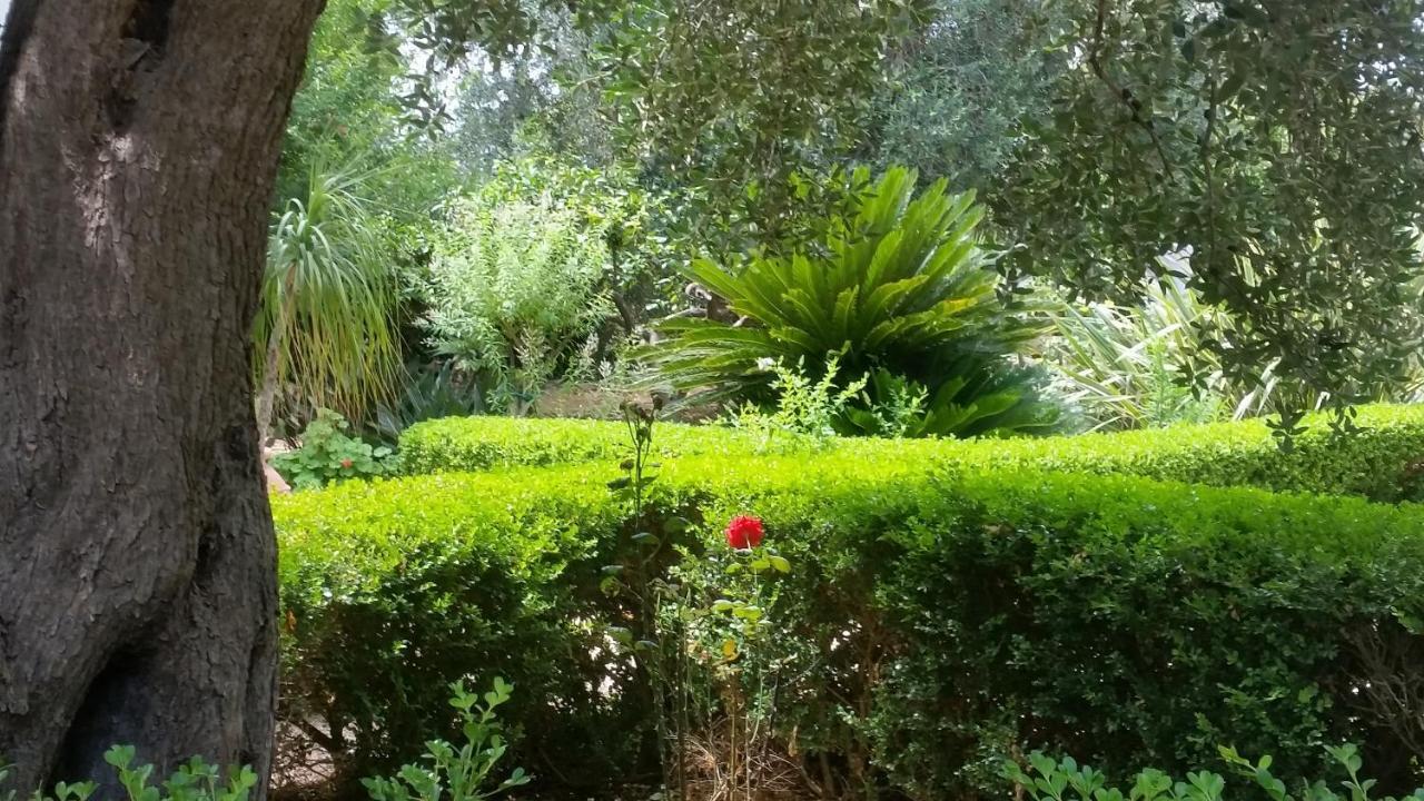 Le Radici Casa Vacanze Villa Copertino Exterior foto