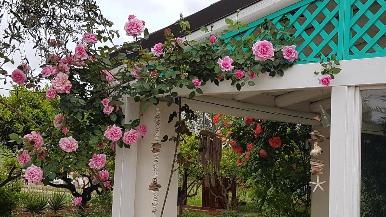 Le Radici Casa Vacanze Villa Copertino Exterior foto